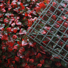 Load image into Gallery viewer, 11 Sq ft. | 4 Panels Artificial Red/Green Boxwood Hedge Faux Dual Color Foliage Green Garden Wall Mat