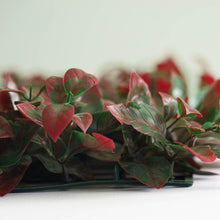 Load image into Gallery viewer, 11 Sq ft. | 4 Panels Artificial Red/Green Boxwood Hedge Faux Dual Color Foliage Green Garden Wall Mat