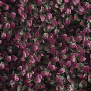 11 Sq ft. | 4 Panels Artificial Purple/Green Boxwood Hedge Faux Foliage Green Garden Wall Mat