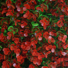 Load image into Gallery viewer, 11 Sq ft. | 4 Panels Artificial Red/Green Boxwood Hedge Faux Genlisea Leaves Foliage Green Garden Wall Mat