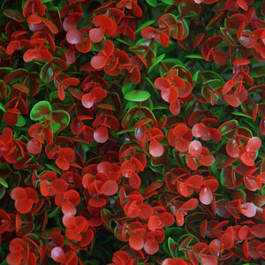 11 Sq ft. | 4 Panels Artificial Red/Green Boxwood Hedge Faux Genlisea Leaves Foliage Green Garden Wall Mat