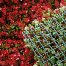 Load image into Gallery viewer, 11 Sq ft. | 4 Panels Artificial Red/Green Boxwood Hedge Faux Genlisea Leaves Foliage Green Garden Wall Mat