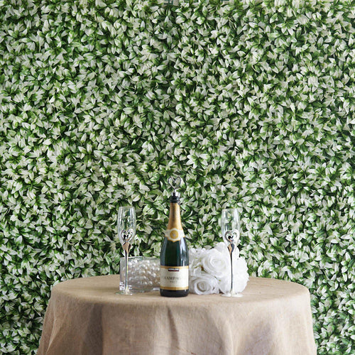 11 Sq ft. | 4 Panels Artificial White/Green Boxwood Hedge Faux Elliptical Leaves Foliage Green Garden Wall Mat