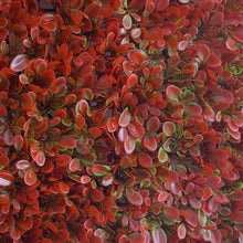 Load image into Gallery viewer, 11 Sq ft. | 4 Panels Artificial Red/Green Boxwood Hedge Faux Elliptical Leaves Foliage Green Garden Wall Mat
