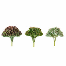Load image into Gallery viewer, Set of 3 | 4&quot; Assorted Artificial Succulent Plants Mini Jelly Bean Air Plants