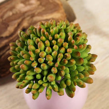 Load image into Gallery viewer, Set of 3 | 4&quot; Assorted Artificial Succulent Plants Mini Jelly Bean Air Plants