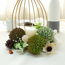 Load image into Gallery viewer, Set of 3 | 4&quot; Assorted Artificial Succulent Plants Mini Jelly Bean Air Plants