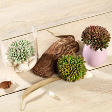 Load image into Gallery viewer, Set of 3 | 4&quot; Assorted Artificial Succulent Plants Mini Jelly Bean Air Plants