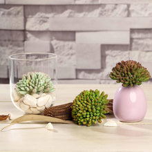 Load image into Gallery viewer, Set of 3 | 4&quot; Assorted Artificial Succulent Plants Mini Jelly Bean Air Plants