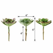 Load image into Gallery viewer, Set of 3 | 6&quot; Assorted Artificial Succulent Plants Echeveria Air Plants