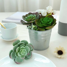Load image into Gallery viewer, Set of 3 | 6&quot; Assorted Artificial Succulent Plants Echeveria Air Plants
