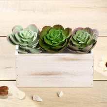 Load image into Gallery viewer, Set of 3 | 6&quot; Assorted Artificial Succulent Plants Echeveria Air Plants