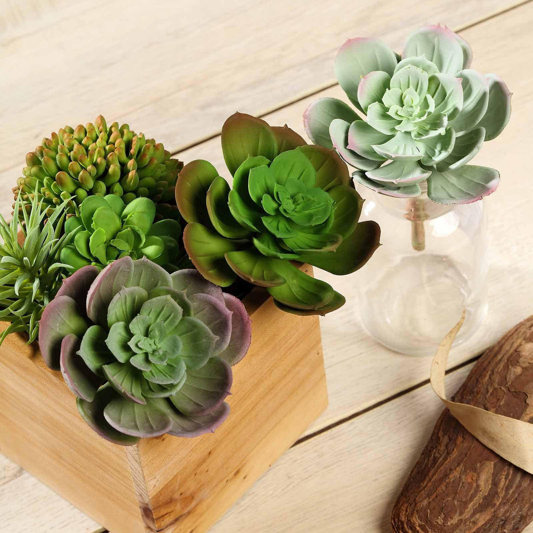 Set of 3 | 6" Assorted Artificial Succulent Plants Echeveria Air Plants