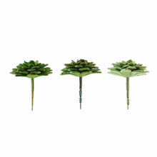 Load image into Gallery viewer, Set of 3 | 3&quot; Assorted Artificial Succulent Plants Parva Echeveria Stems Air Plants