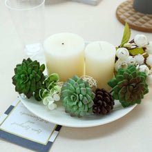 Load image into Gallery viewer, Set of 3 | 3&quot; Assorted Artificial Succulent Plants Parva Echeveria Stems Air Plants