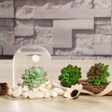 Load image into Gallery viewer, Set of 3 | 3&quot; Assorted Artificial Succulent Plants Parva Echeveria Stems Air Plants