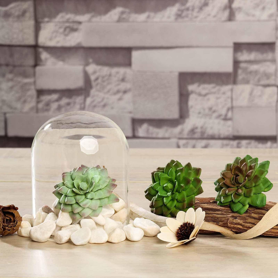 Set of 3 | 3" Assorted Artificial Succulent Plants Parva Echeveria Stems Air Plants