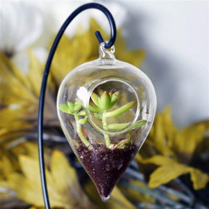 Set of 6 | 5&quot; Air Plant Glass Terrarium Morning Dew Drop Hanging Plant Holders