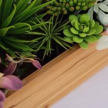 Load image into Gallery viewer, 24&quot;x6&quot; Natural Rectangular Wood Planter Box Set With Removable Plastic Liners