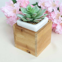 Load image into Gallery viewer, 4 Pack | 4&#39;&#39; Natural Square Wood Planter Box Set With Removable Plastic Liners